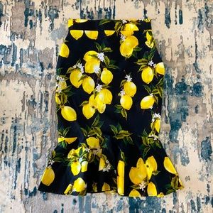 Dolce & Gabbana inspired skirt